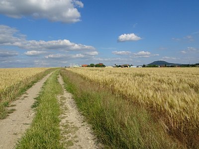 Jiná cestička k domovu