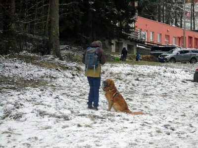 Také turista s páníčkem.