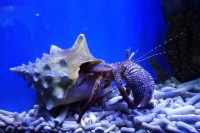 soukám se do domečku pozadu