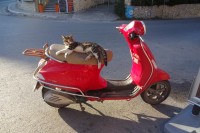 moje řecká taky líná kámoška