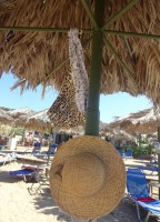 každodenní plážová realita