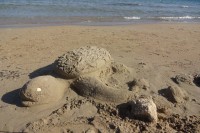 Jsme na želvím ostrově