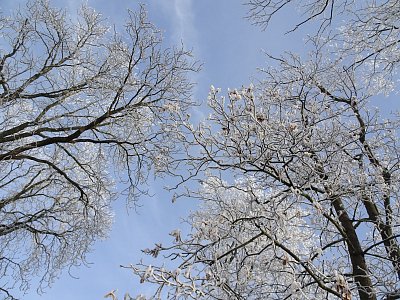 Vydrží modrobílo???