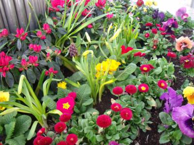 lázeňské osázení