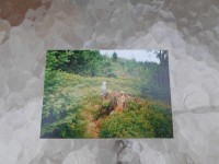 Borýsek a Majdalénka 1