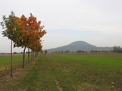 dscn1791-jednostranna.jpg
