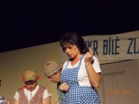 Z RŮZNÝCH PŘEDSTAVENÍ