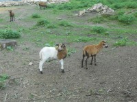 Můj tip na výlet: Opárenské údolí