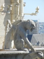 Strážci katedrály