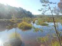 Podzim a les, zahrada a ves