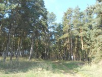 Podzim a les, zahrada a ves