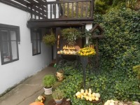 Zubrnický Podzim na vsi