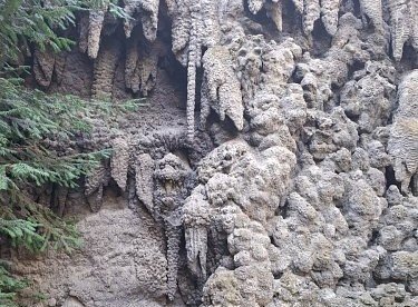 fantaskní zvířátka