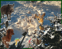 jak se Ferda ztratil