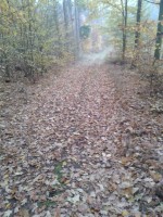 Podzimní "uplakaný"výšlap