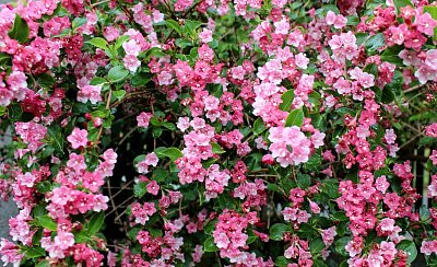 Moje jarní inspirace