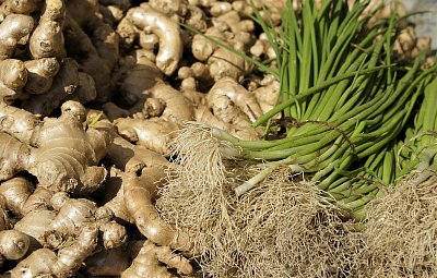 Jak si doma vypěstovat svůj zázvor. Přelom zimy a jara je  nejvhodnější na zasazení oddenku