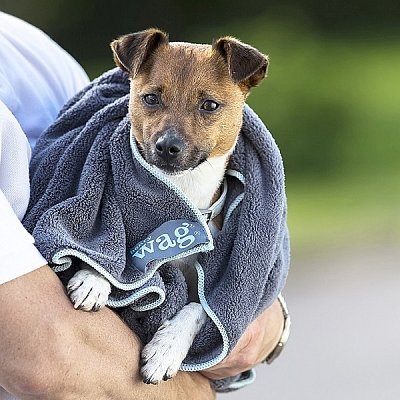 henry wag ručník.jpg