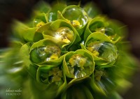 Jarní fotopříběh