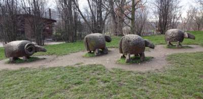 houfem-ovecky.jpg