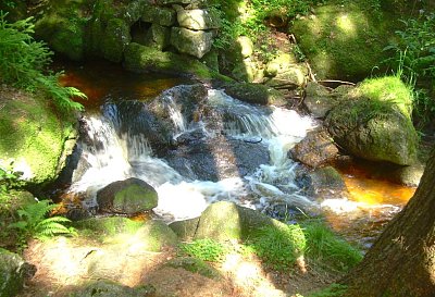 Letní snění v létě o létě