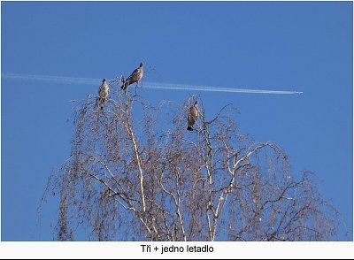 hrivnaci-tri-s-letadlem.jpg