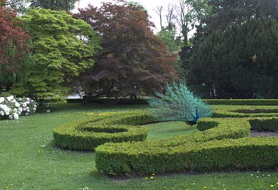 Podzámecká zahrada