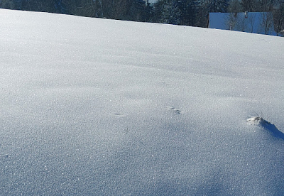 Jak se dostanu do chalupy?