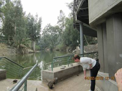 raději je nakrmíme