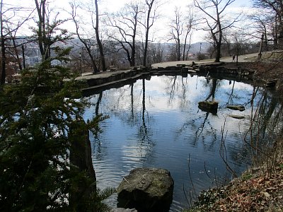 jezírko s lachtanem