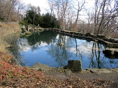 jezírko s lachtanem