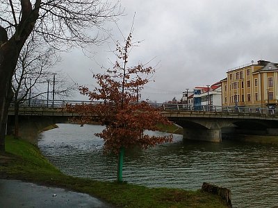 Pohled z levého břehu Sázavy na most u kostela sv. Kateřiny