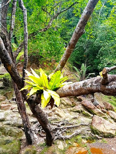 Rekreační park Tasek Lama