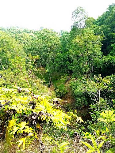 Rekreační park Tasek Lama