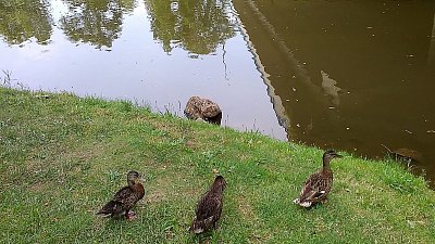 Holky, konec opalovačky, jdeme do vody!