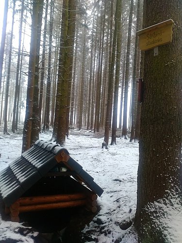 Přicházíme ke Stříbrné studánce