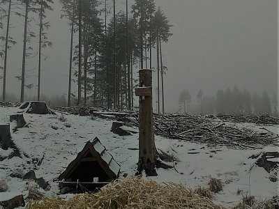 Tato studánka se jmenuje Tříkrálová, neboli Královka