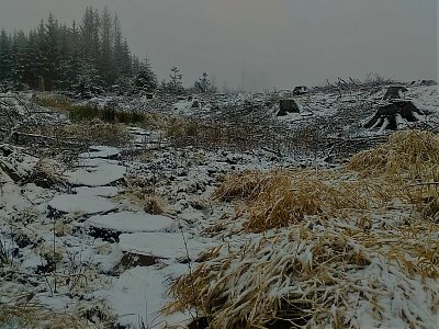 Přístup ke Tříkrálové studánce