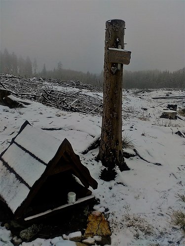 Bývala ukryta v lesích, nyní okolo ní zbyly jen pařezy a hromady větví.