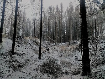 Tajemná rokle okolo Ronovce