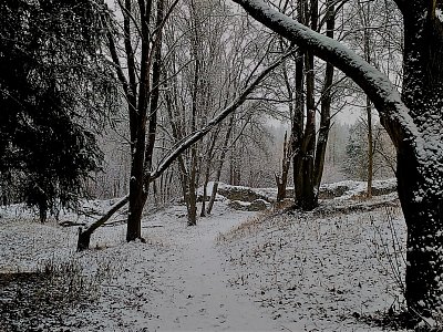 Pokračujeme dál po žluté značce. Auto pro nás samo nepřijede, vracíme se jinudy.