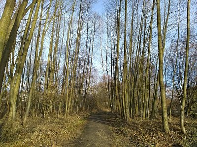 Tady již sluníčko cestičku vysušilo