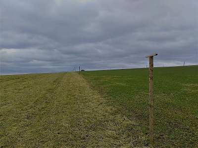 Tady jsou v řadě postaveny kůly s přistávací plochou pro dravce - to vidím poprvé!