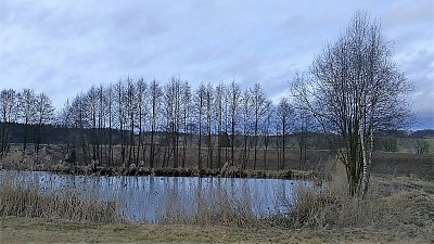 Pěkným zpestřením krajiny jsou i malé rybníčky