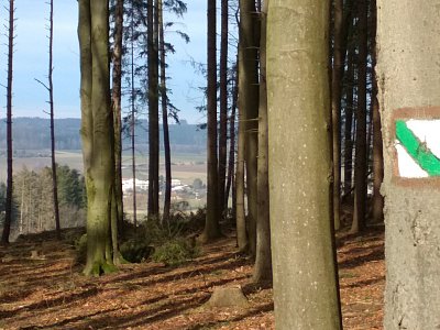 Pod lesem je Humpolec