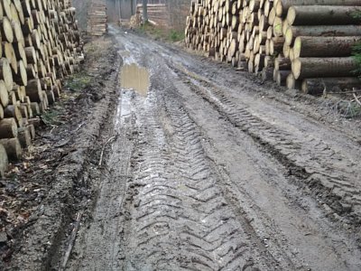 Blátivá cesta a klády jsou všude