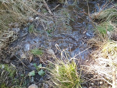 mráz maloval na kaluže