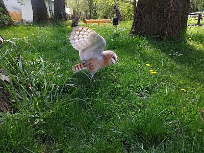 Ten krasavec by chtěl ulétnout