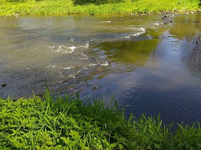 Sázava teče v údolí pod železniční tratí