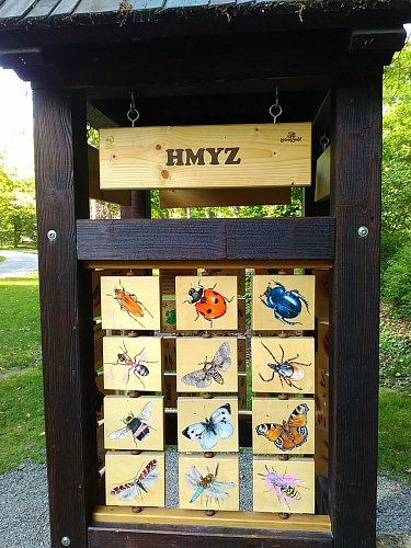 Které druhy znáte?